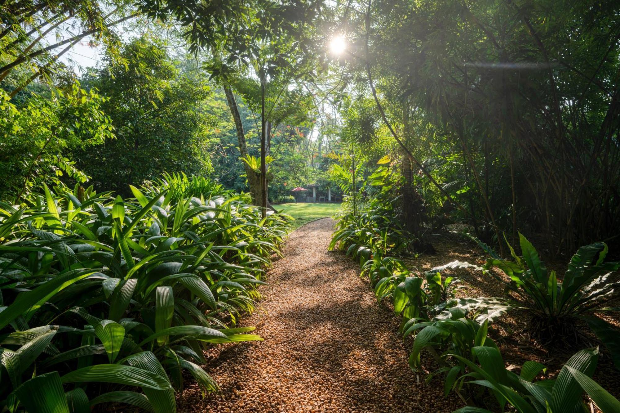 Wallawwa Katunayaka Esterno foto